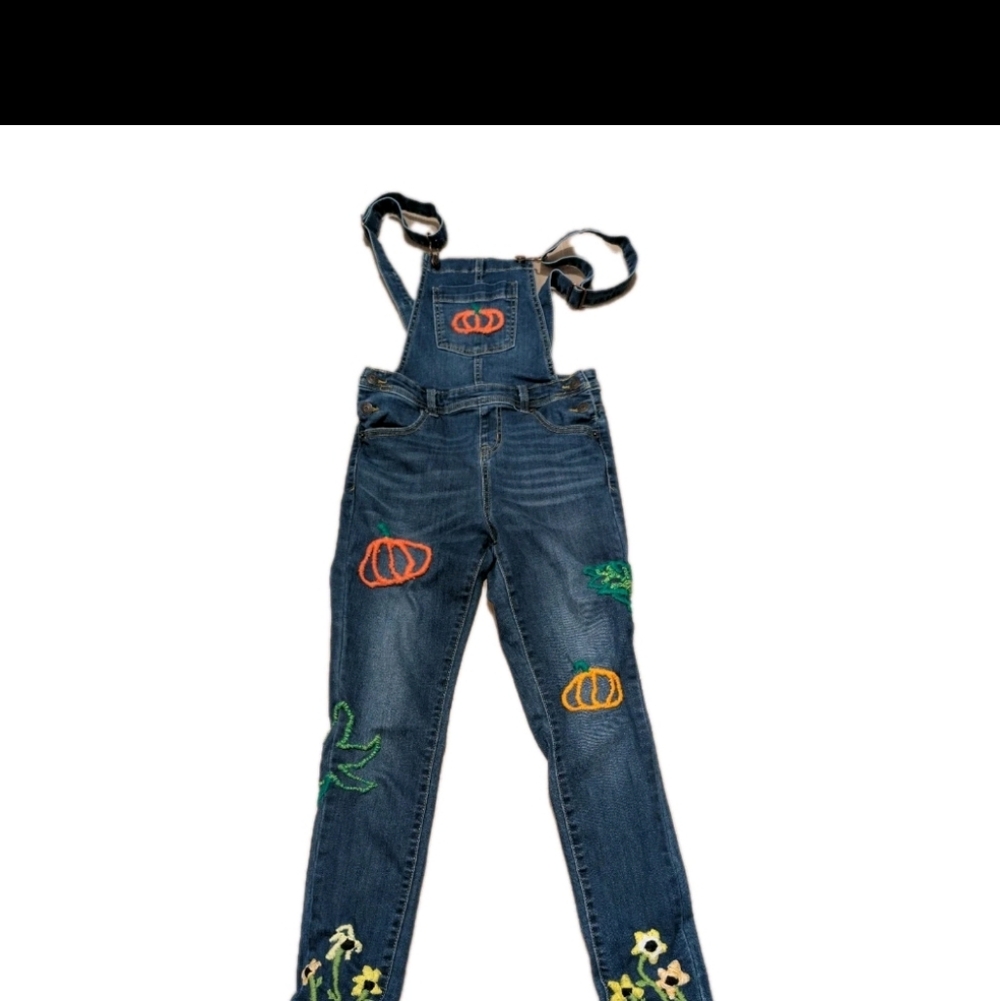 Cat & Jack L 10 12 Denim Bib Overalls Recycled Reworked Art To Wear Embroidered